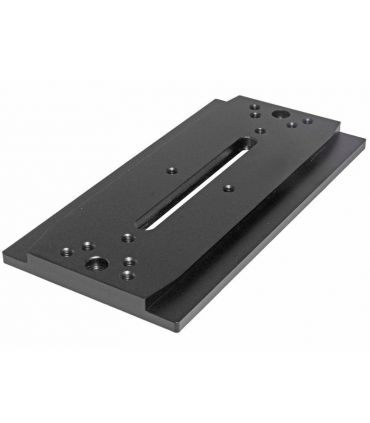 Barra de cola de milano TS-Optics Losmandy Level - longitud 200 mm - soporte plano