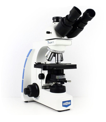 HAXON AQUILES II Base STATIVO para UPDATE