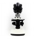 Microscopio HAXON-1301L TRINOCULAR LED