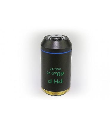 Objetivo ICS Fase POSITIVA 40x