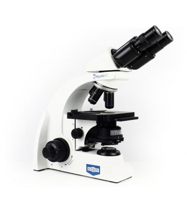 Microscopio HAXON AQUILES I A-102iH  BINOCULAR Halógeno 30W
