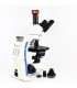 Microscopio Haxon AQUILES II Pro