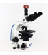 Microscopio Haxon AQUILES II EVO