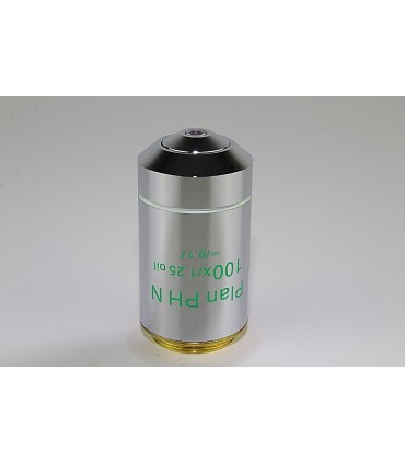 Objetivo PLAN IPCS Fase NEGATIVA 100x