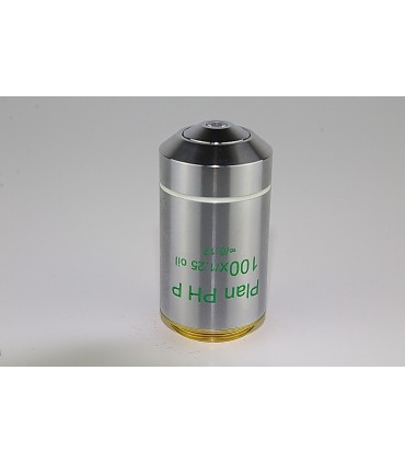 Objetivo PLAN IPCS Fase Positiva 100x