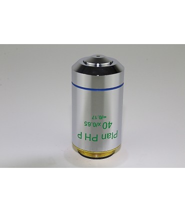 Objetivo PLAN IPCS Fase Positiva 40x