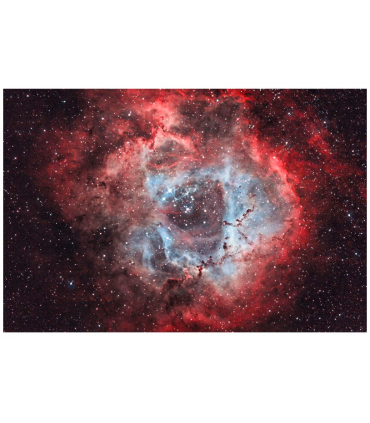 OPT Triad Ultra Quad Band Filtro de banda estrecha 1.25