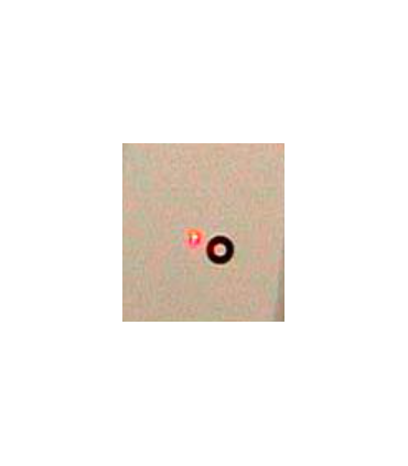 TS-Optics 1.25 Newtonian Alignment Laser - Accurate Newtonian Collimation